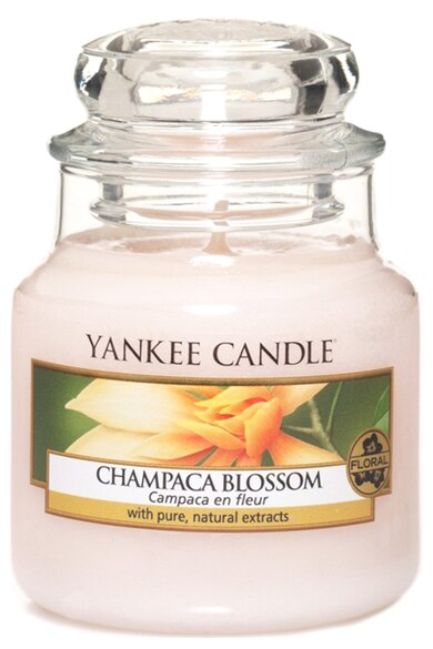 YANKEE CANDLE Lumanare parfumata mica in borcan Champaca Blossom Barbati