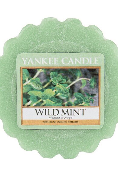 YANKEE CANDLE Set de tarte de ceara parfumata Wild Mint - 2 piese Femei