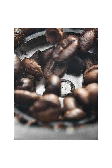 DeLonghi Rasnita de cafea De'Longhi Dedica KG 520M, 150 W, 350 g, Argintiu / Negru Femei
