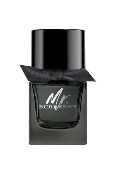 Burberry Apa de Parfum  Mr Burberry, Barbati Barbati