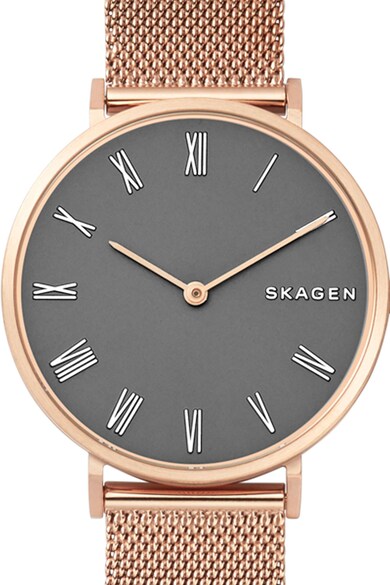 Skagen Ceas cu doua indicatoare si bratara cu model plasa Hald Femei