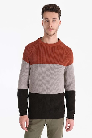 Pulover De Barbati Maro Regular Fit CL1066283