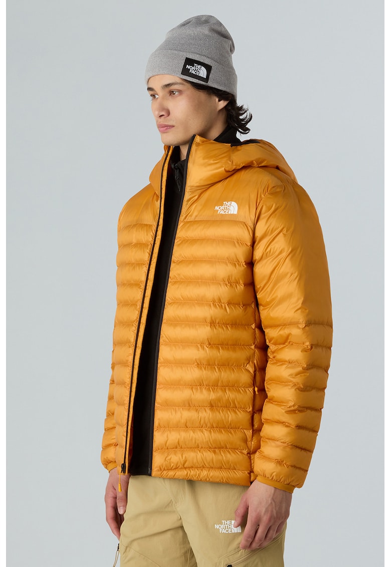 Jacheta cu gluga pentru drumetii si trekking Terra Peak