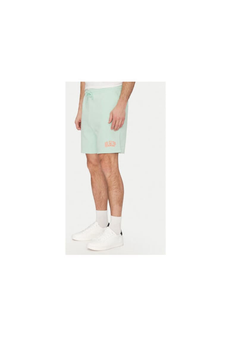 Pantaloni scurti sport barbati 703989-01 - Bumbac /Poliester reciclat - 46794 - Verde