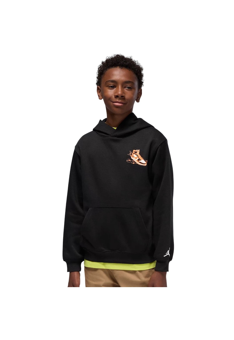 Hanorac Air Jordan Has Landed Po 49648