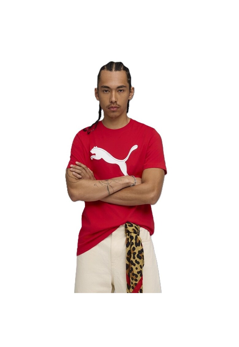 Tricou  Graphic Cat Logo Tee-688030-11