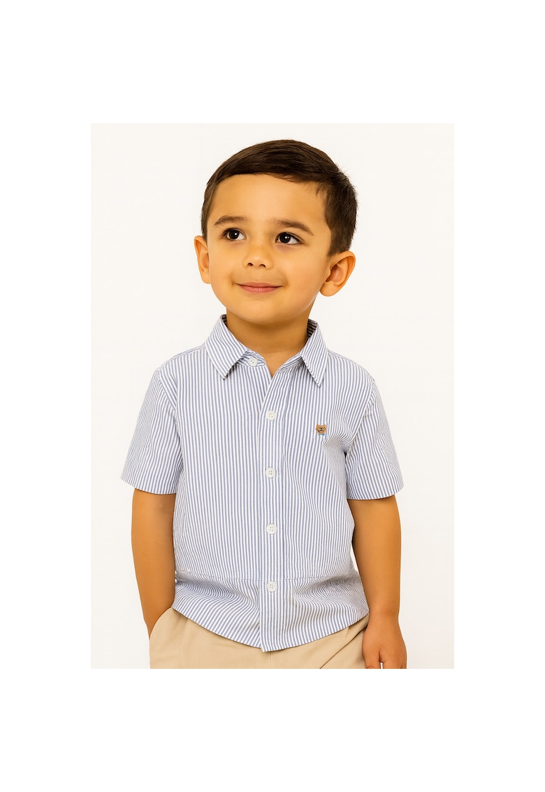 Camasa cu dungi si guler fixat cu nasturi