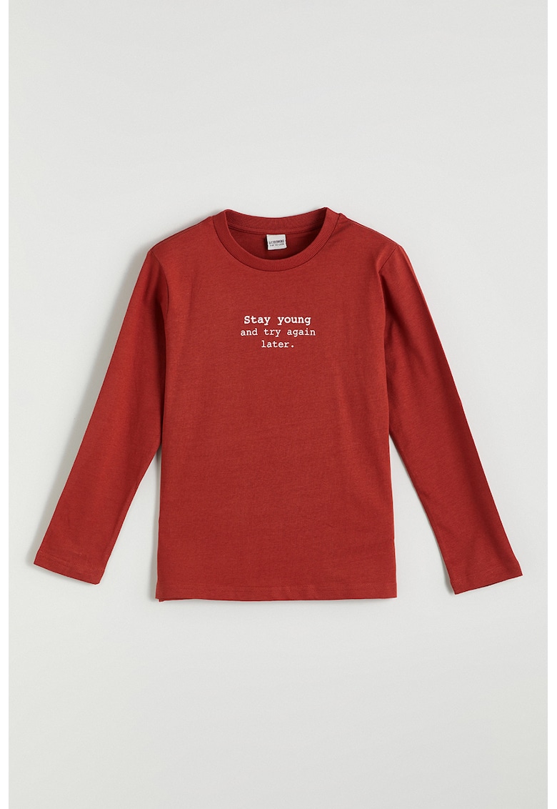 Bluza regular fit de bumbac - Caramiziu