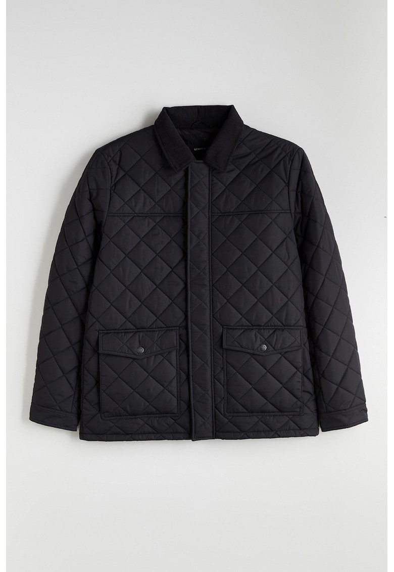 Jacheta matlasata cu guler