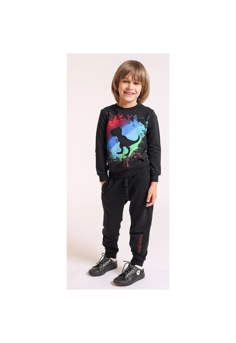 Bluza cu maneca lunga pentru baieti - din bumbac Bluza cu maneca lunga pentru baieti - din bumbac