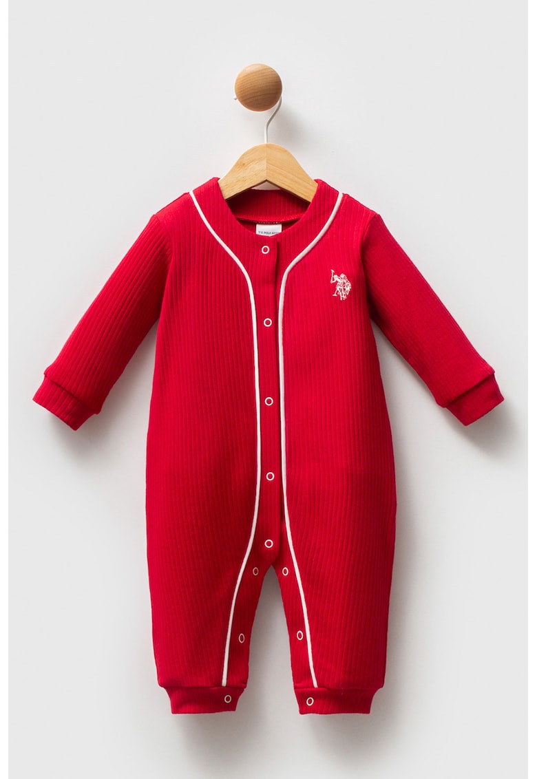 Salopeta striata - Rosu