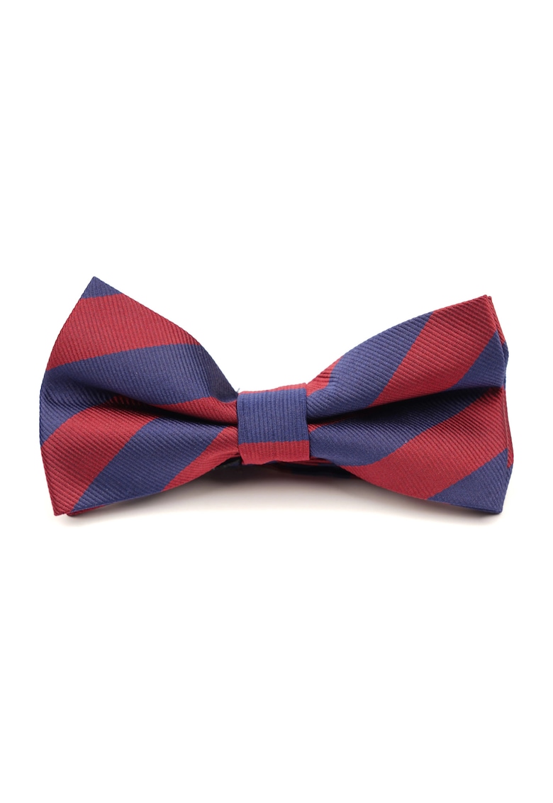 Papion pre-legat albastru cu dungi bordo din matase