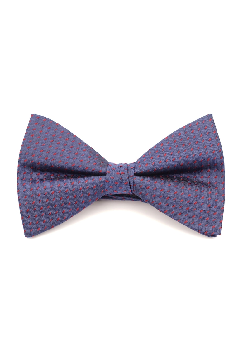 Papion albastru cu imprimeu puncte bordo