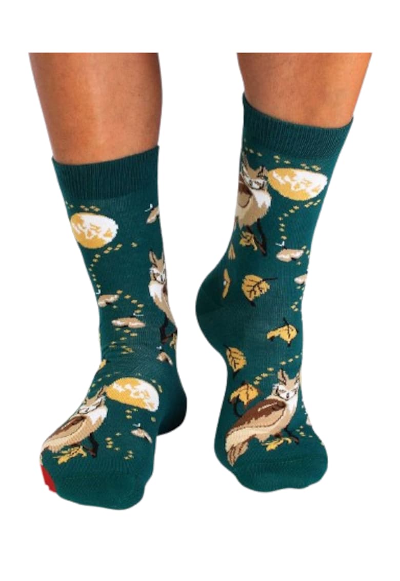 Sosete din bumbac - Povesti de Toamna - Bufnita - Verde Petrol