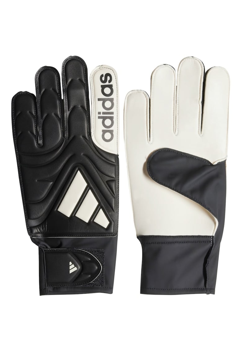 Manusi portar  Copa Club - alb/negru -