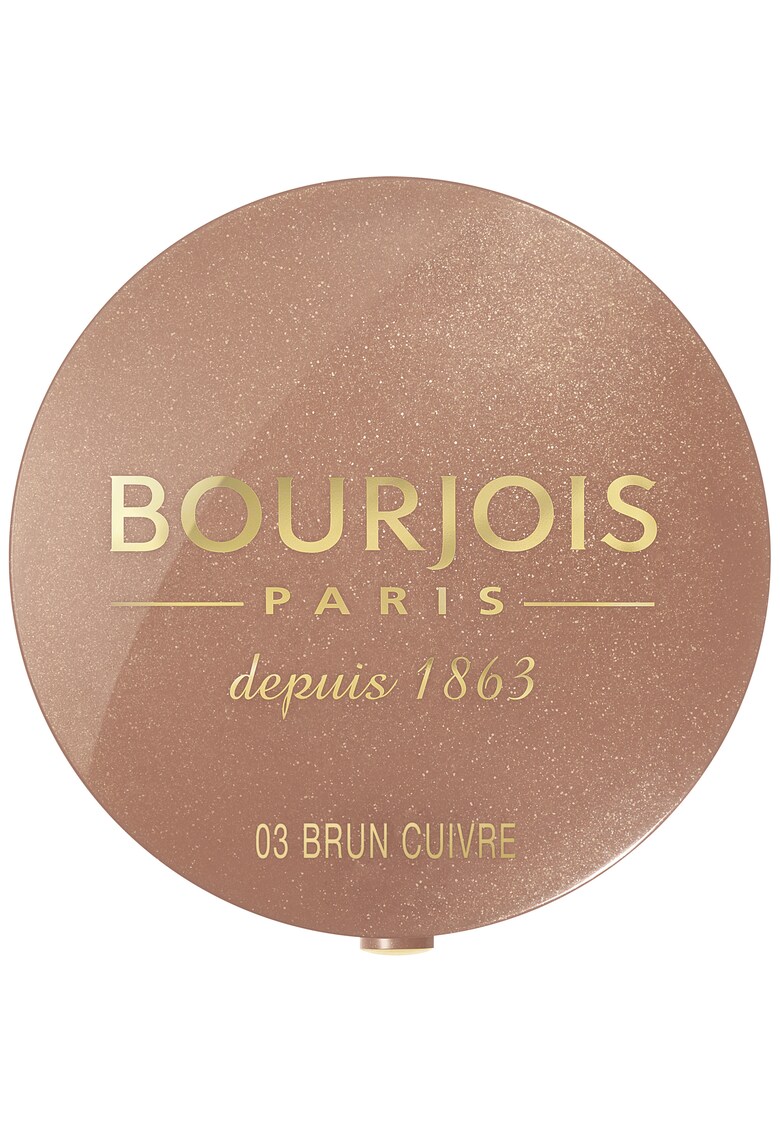 Fard de obraz 2.5g - Brun Cuivre