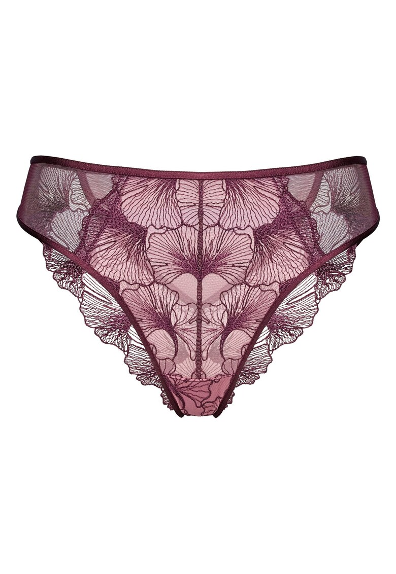 Chiloti brazilian Violet-roz Cecylia Bloovii - Violet