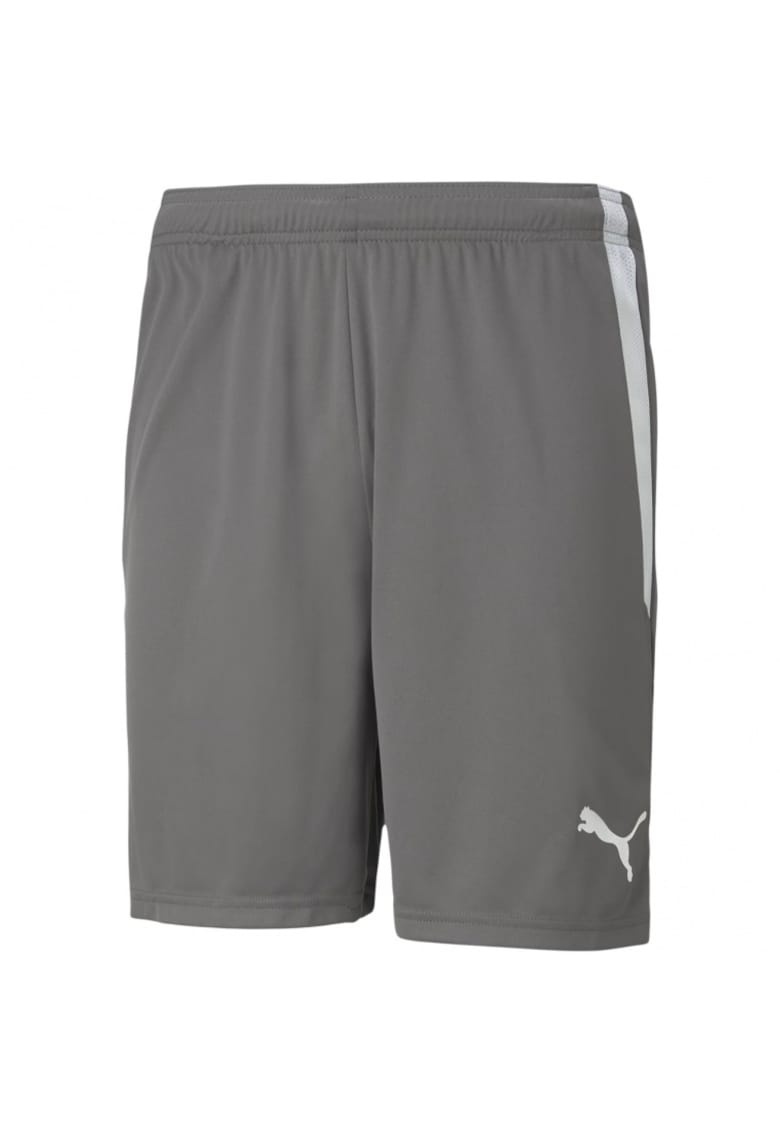 Pantaloni sport barbati - Teamliga - gri