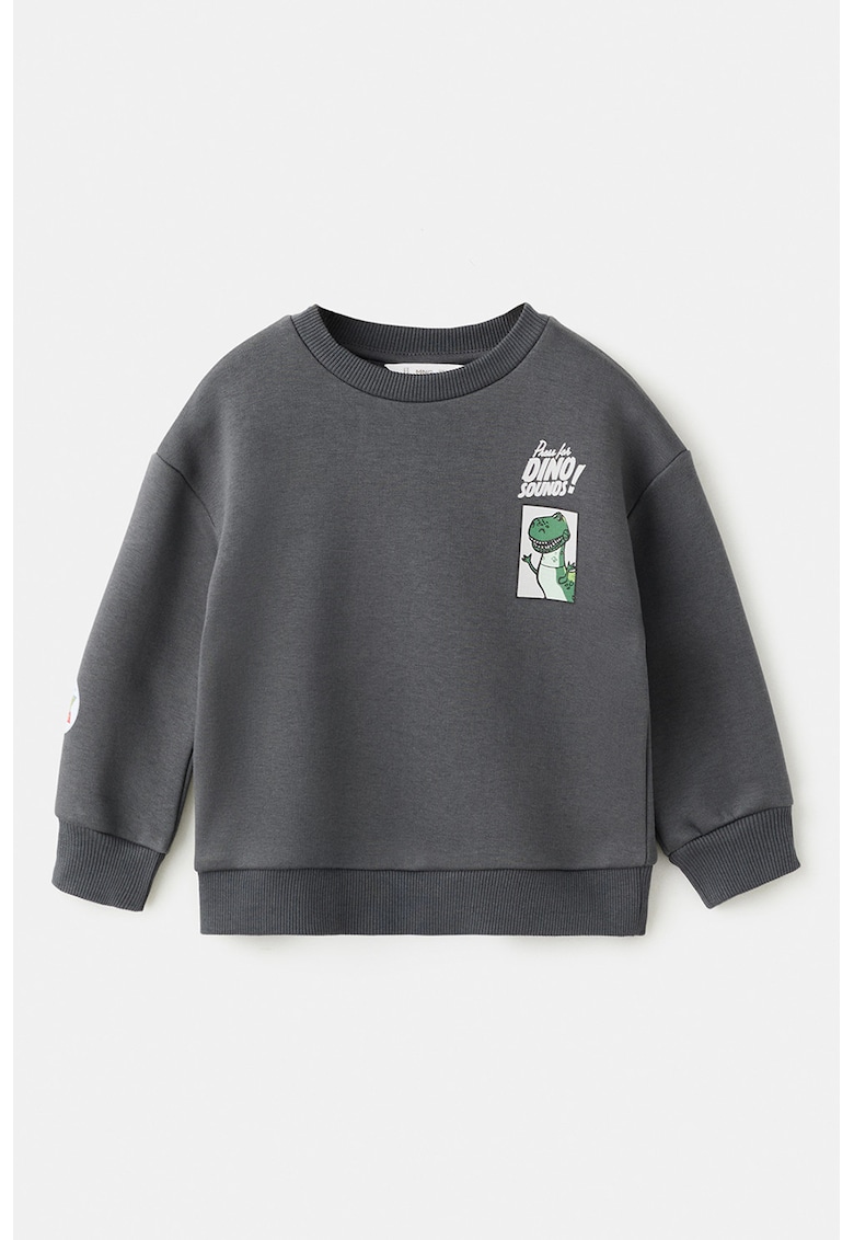 Bluza de trening din amestec de bumbac cu model grafic si imprimeu text - Verde/Gri antracit