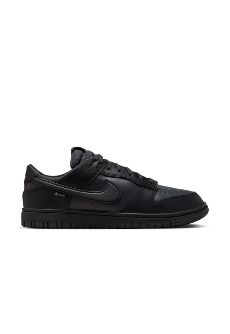 Pantofi sport DUNK LOW GTX-HQ2053-001