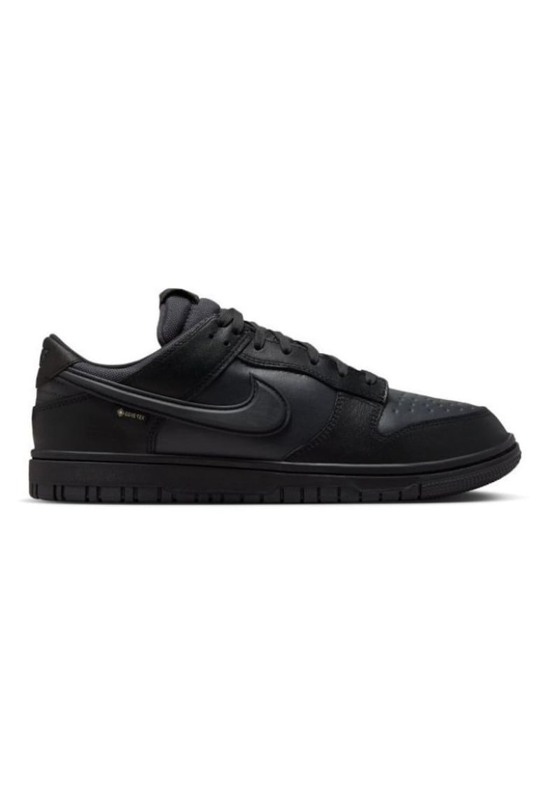 Pantofi sport DUNK LOW GTX-HQ2053-001