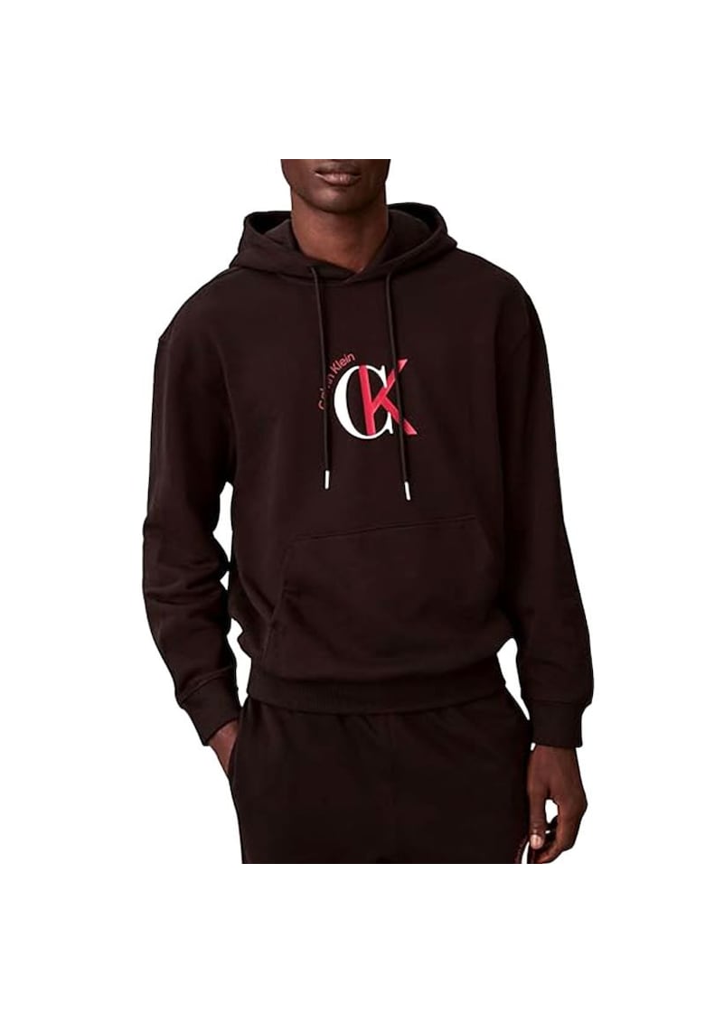 Hanorac LS EU 350TERRY GRAPHIC HOODIE-LV04RE255G-UB1
