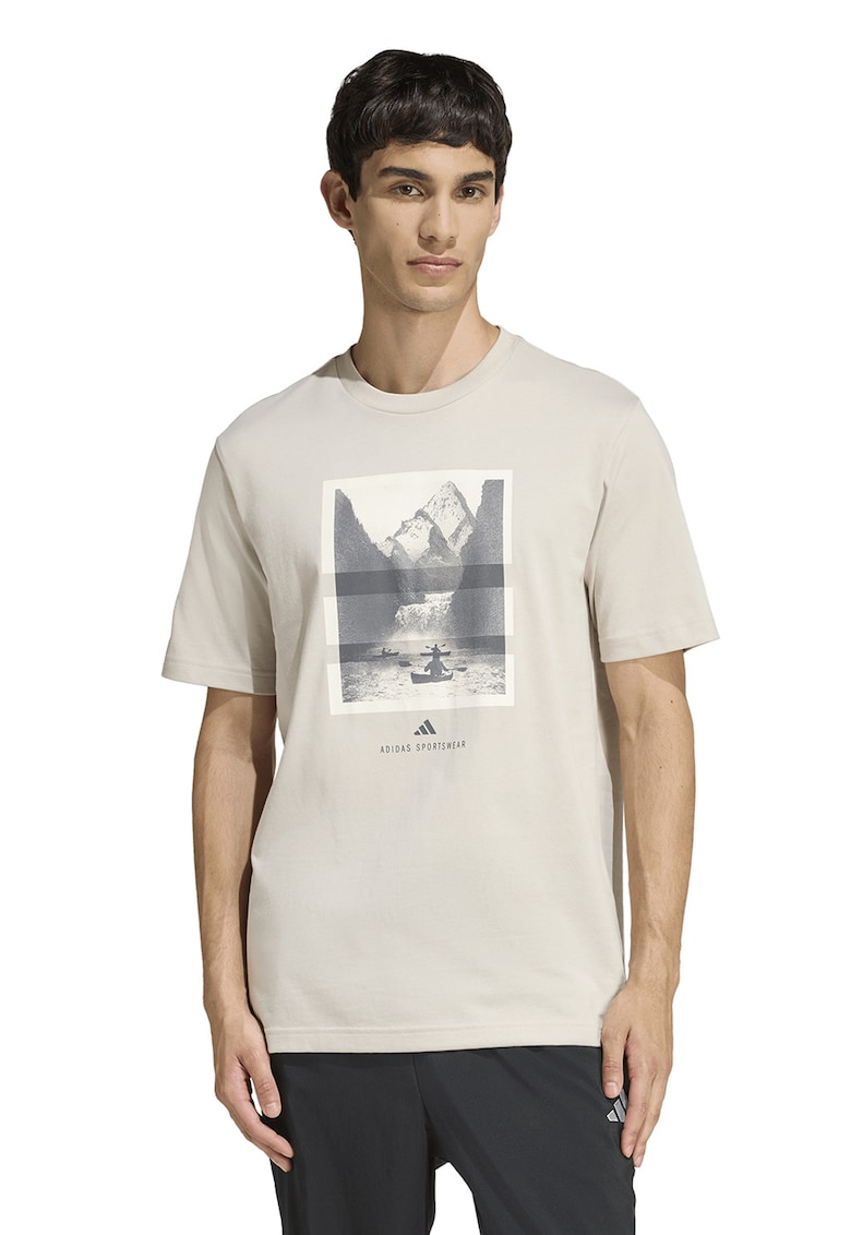 Tricou regular fit cu imprimeu grafic - Alb/Alb fildes/Gri inchis