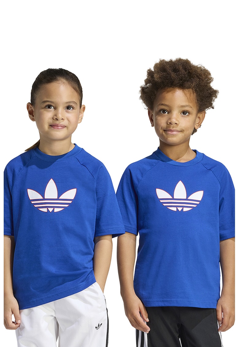 Tricou de bumbac cu maneci raglan - Alb/Albastru royal