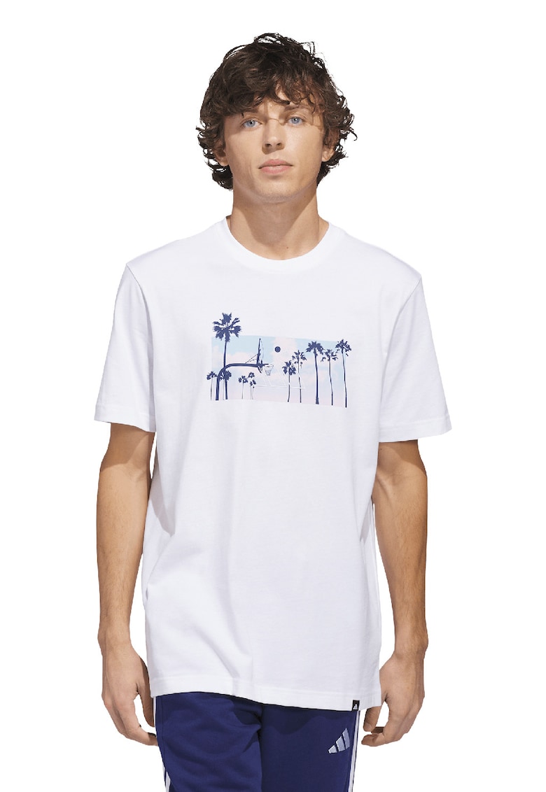 Tricou regular fit Photorl Crt - Alb/Albastru