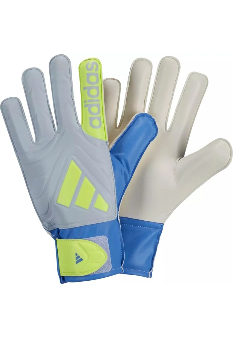 Mânusi portar Copa Club - gri/alb/albastru - mărimea