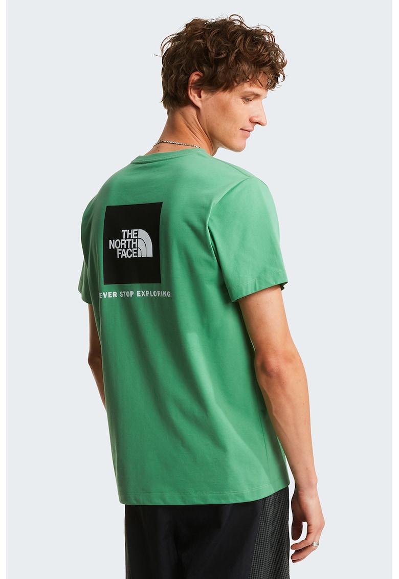 Tricou regular fit cu imprimeu logo pe piept Evolution Box - Verde deschis