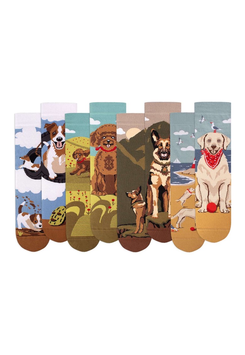 Cutie cu 4 Perechi de Sosete din bumbac Arty Socks Caini