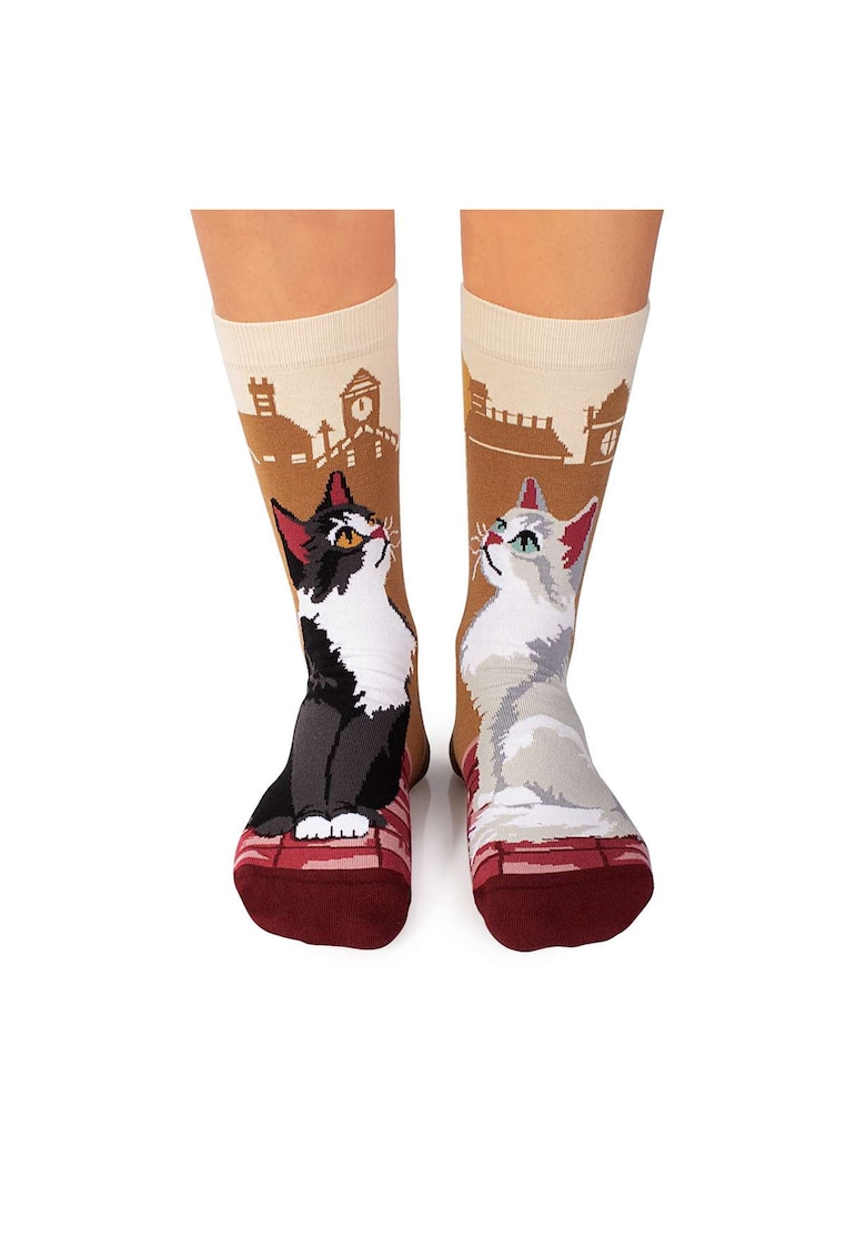 Sosete din bumbac Arty Socks Pisici Urbane