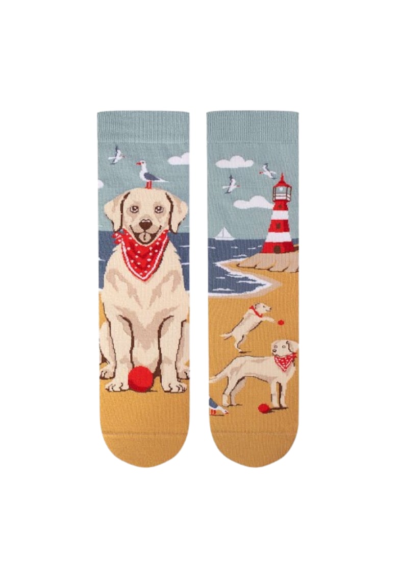 Sosete din bumbac Arty Socks cu Golden Retriever - 43-46 EU - Multicolor