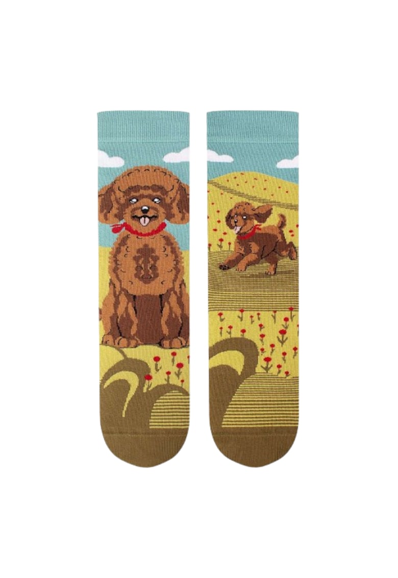 Sosete din bumbac Arty Socks cu Pudel