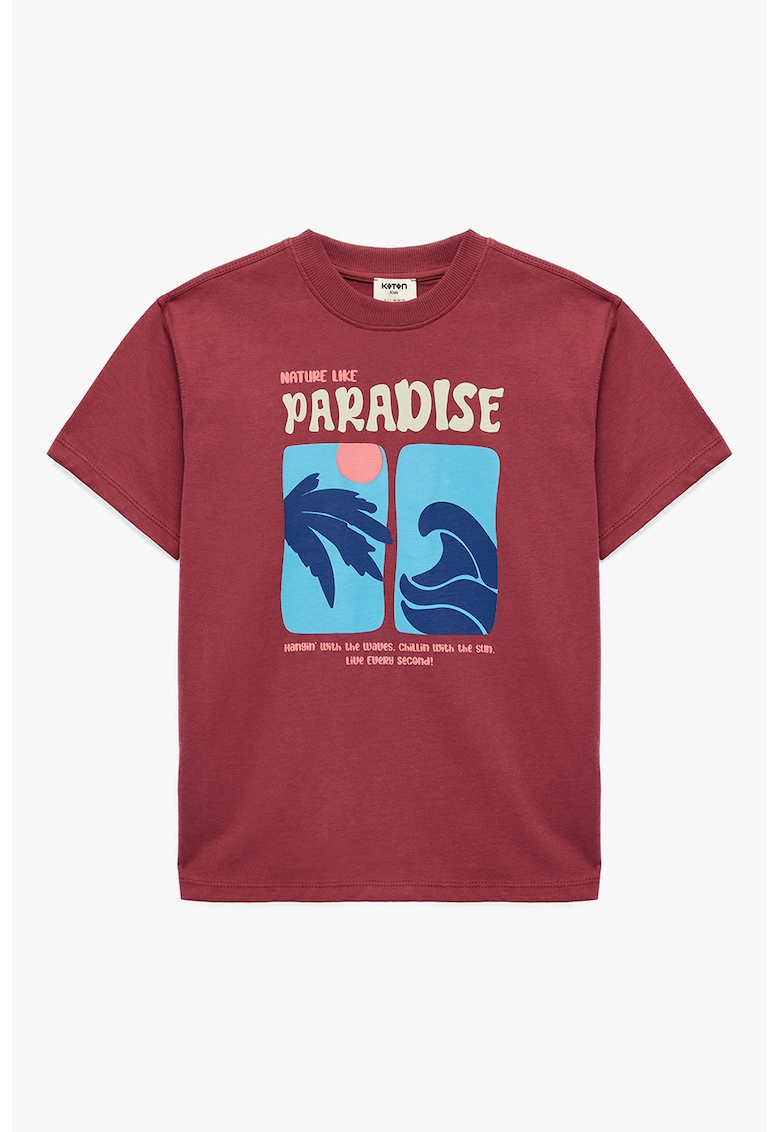 Tricou de bumbac cu imprimeu - Rosu stins/Albastru