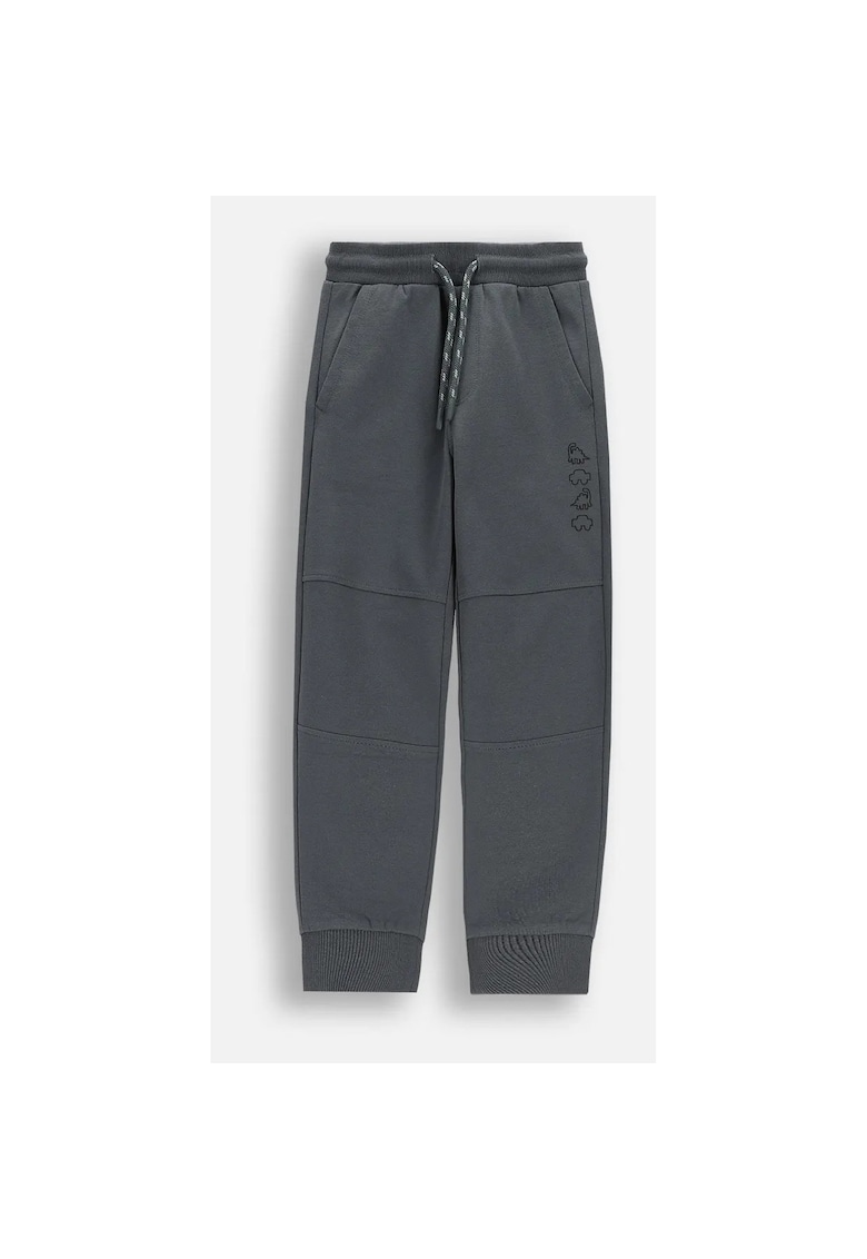Pantaloni grafit - motiv dinozauridwqfwq - Gri grafit