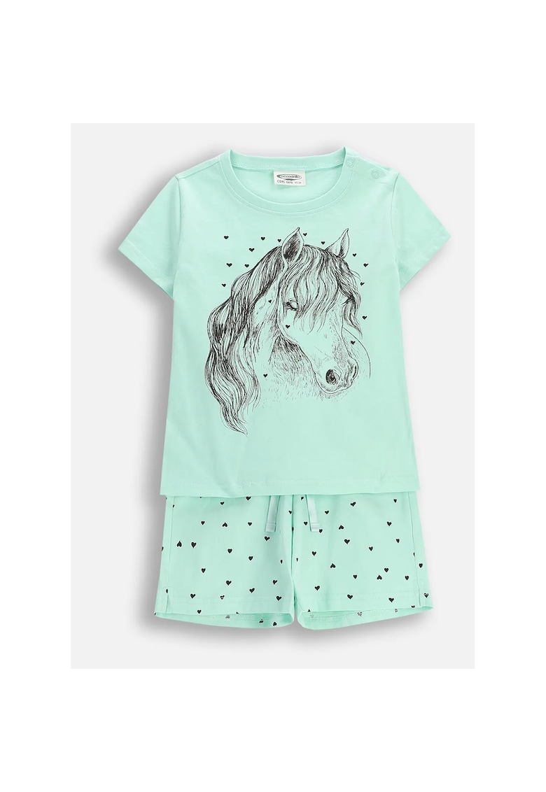 set piese - Verde menta