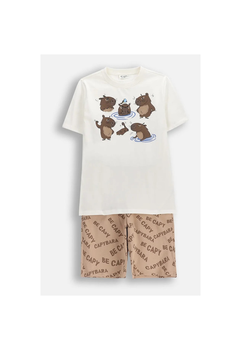 capibara - multicolor - Multicolor