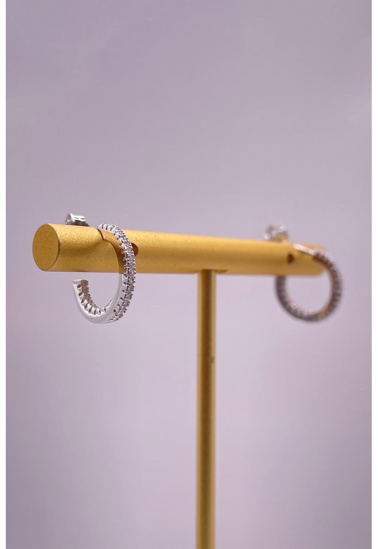 Cercei rotunzi mici cu zirconia - Argintiu/Transparent