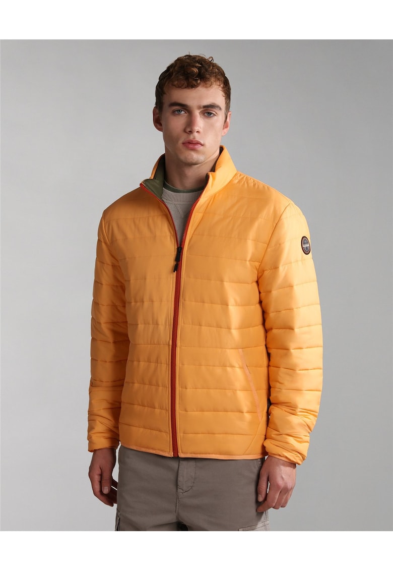 Jacheta matlasata Acalmar -