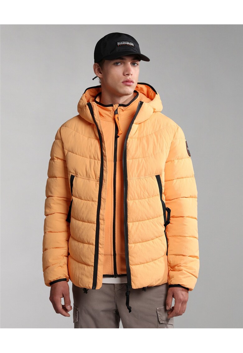 Jacheta matlasata Ambato -