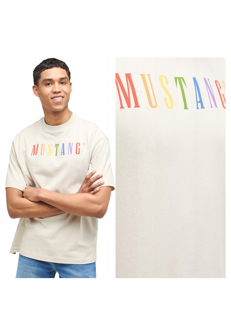 Tricou Barbati - Aidan C Pride - Regular Fit - Maneca Scurta - Decolteu Rotund - Cu Logo - Bumbac - Design Clasic - M INTL - Bej