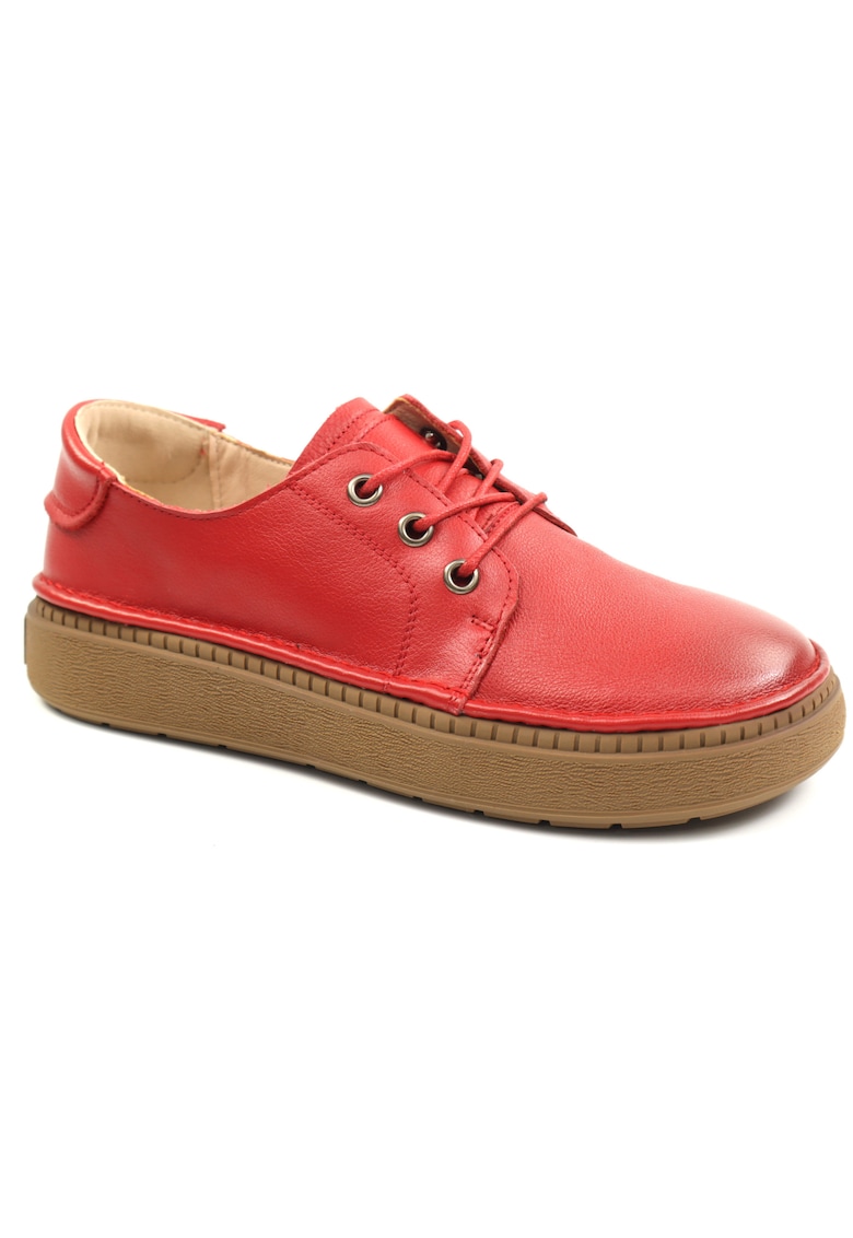 Pantofi dama 663