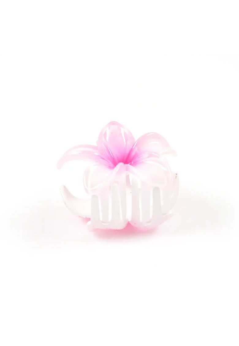 Cleste par floare alba cu accente roz