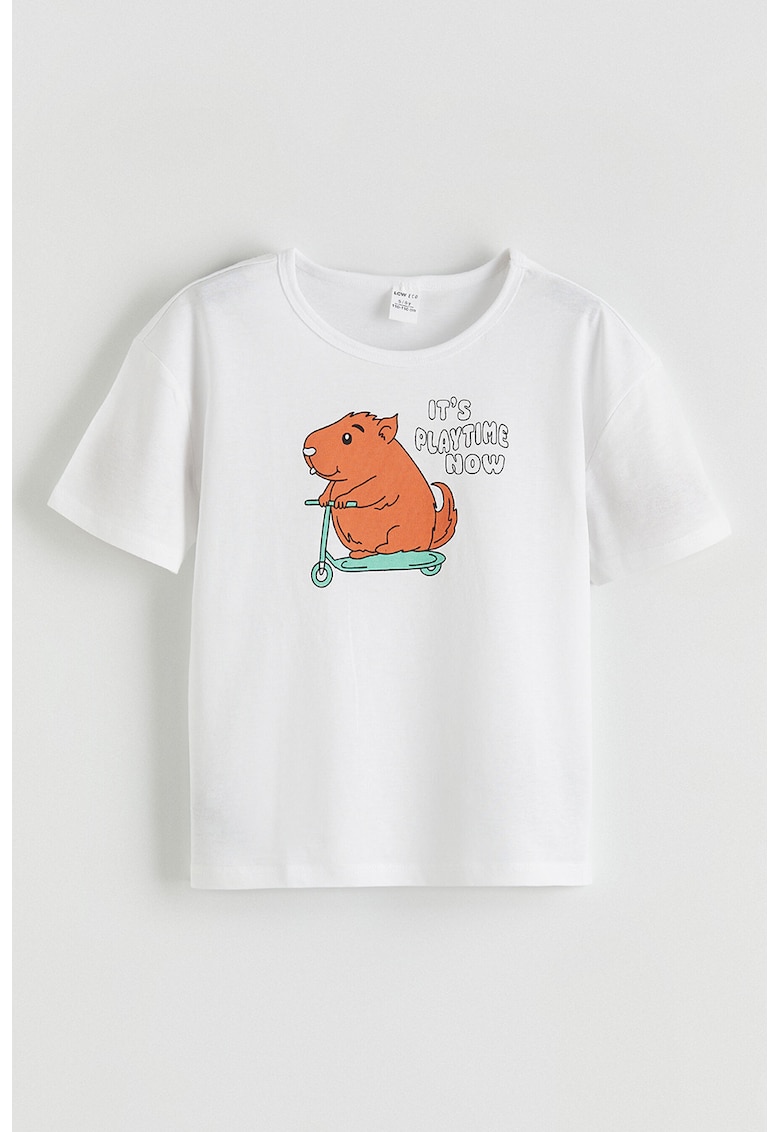 Tricou lejer de bumbac cu imprimeu frontal - Alb/Turcoaz/Caramiziu