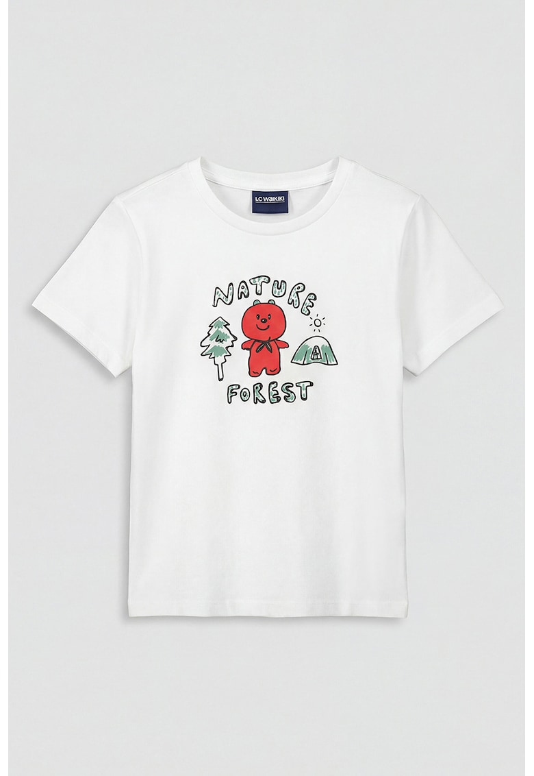 Tricou regular fit de bumbac - Alb/Rosu inchis/Verde aquamarin