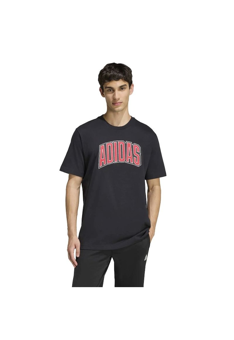 Tricou M STAD COLLEG T-KB4929