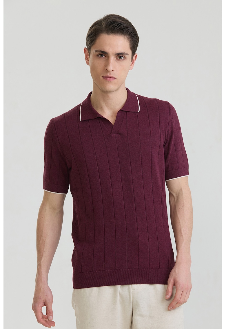 Tricou polo din bumbac cu striatii - Visiniu