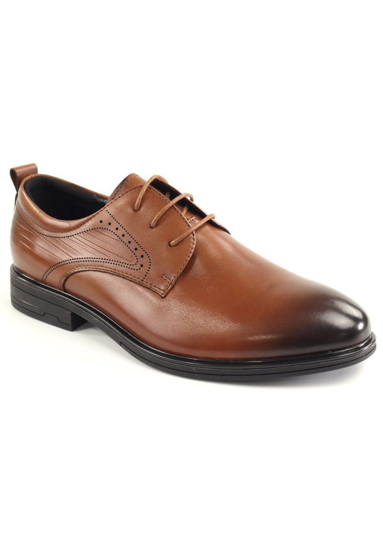 Pantofi barbati piele naturala E6E670004C 16 N - Maro
